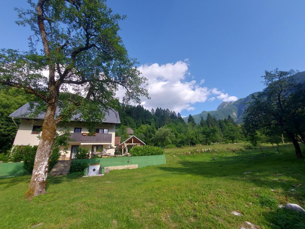 Apartmaji Katrc Соча Экстерьер фото
